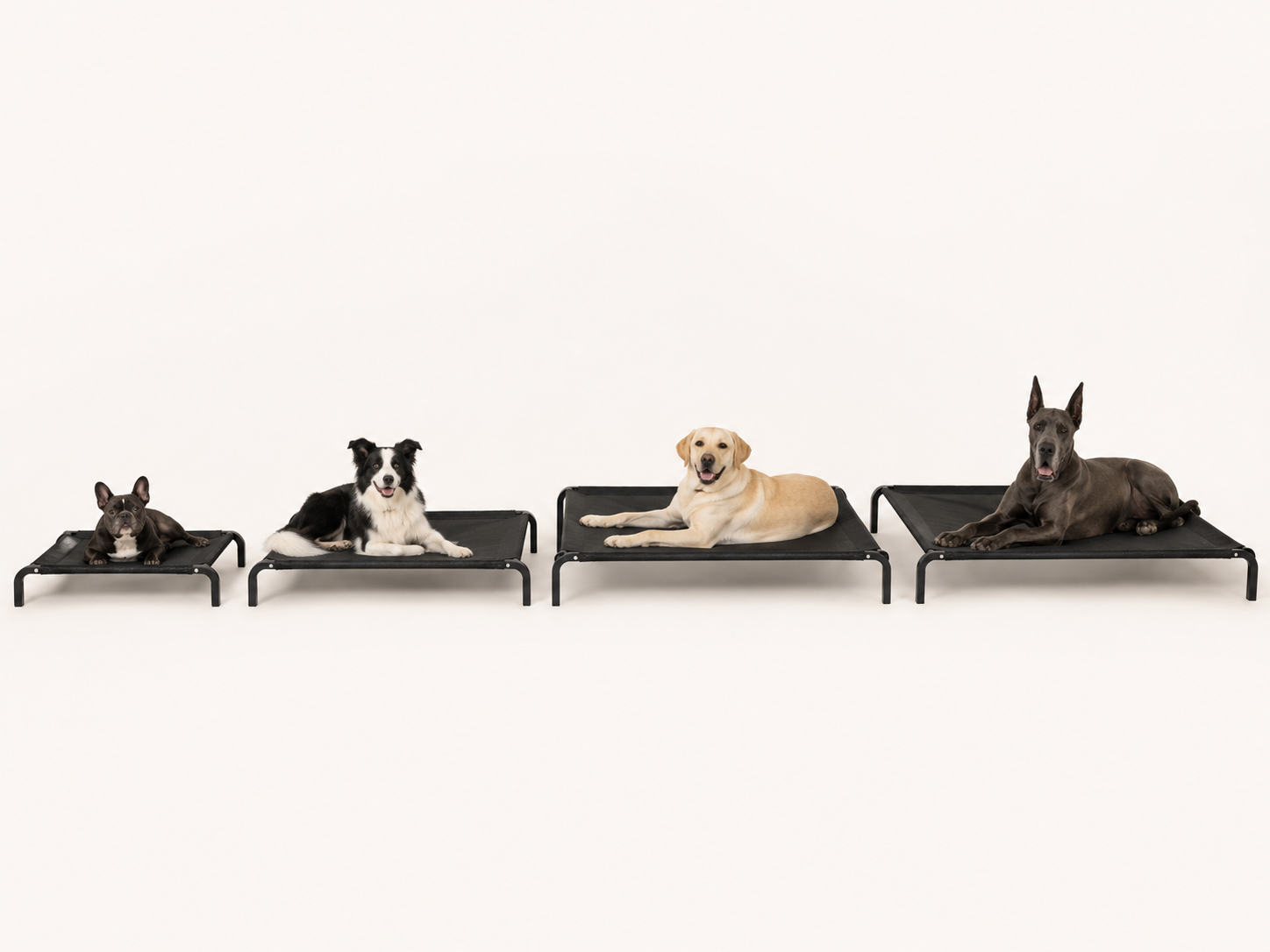 The CoolBurrow Elevated Cot